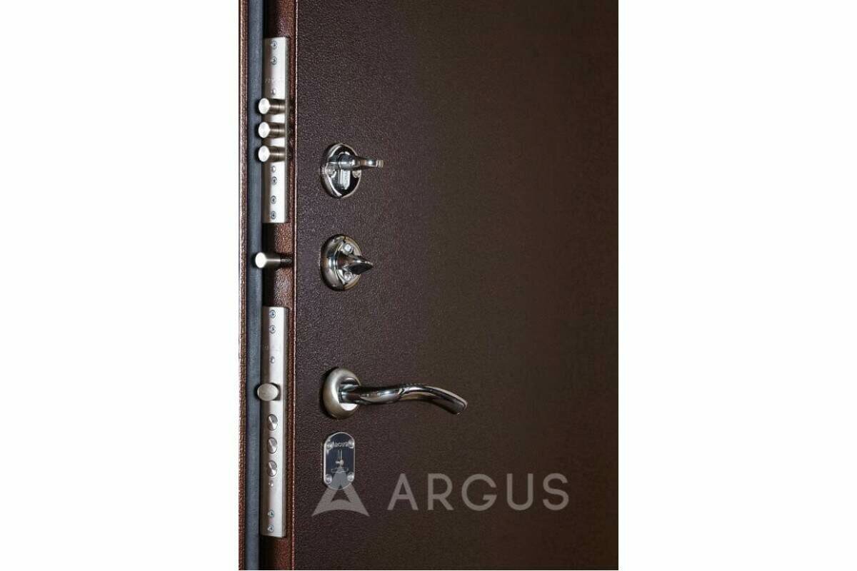 Аргус 9 дверь металлическая отделка металл-металл