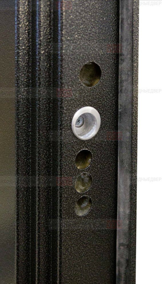 Металлический эксцентрик дверь Выбор М2 стальная в квартиру