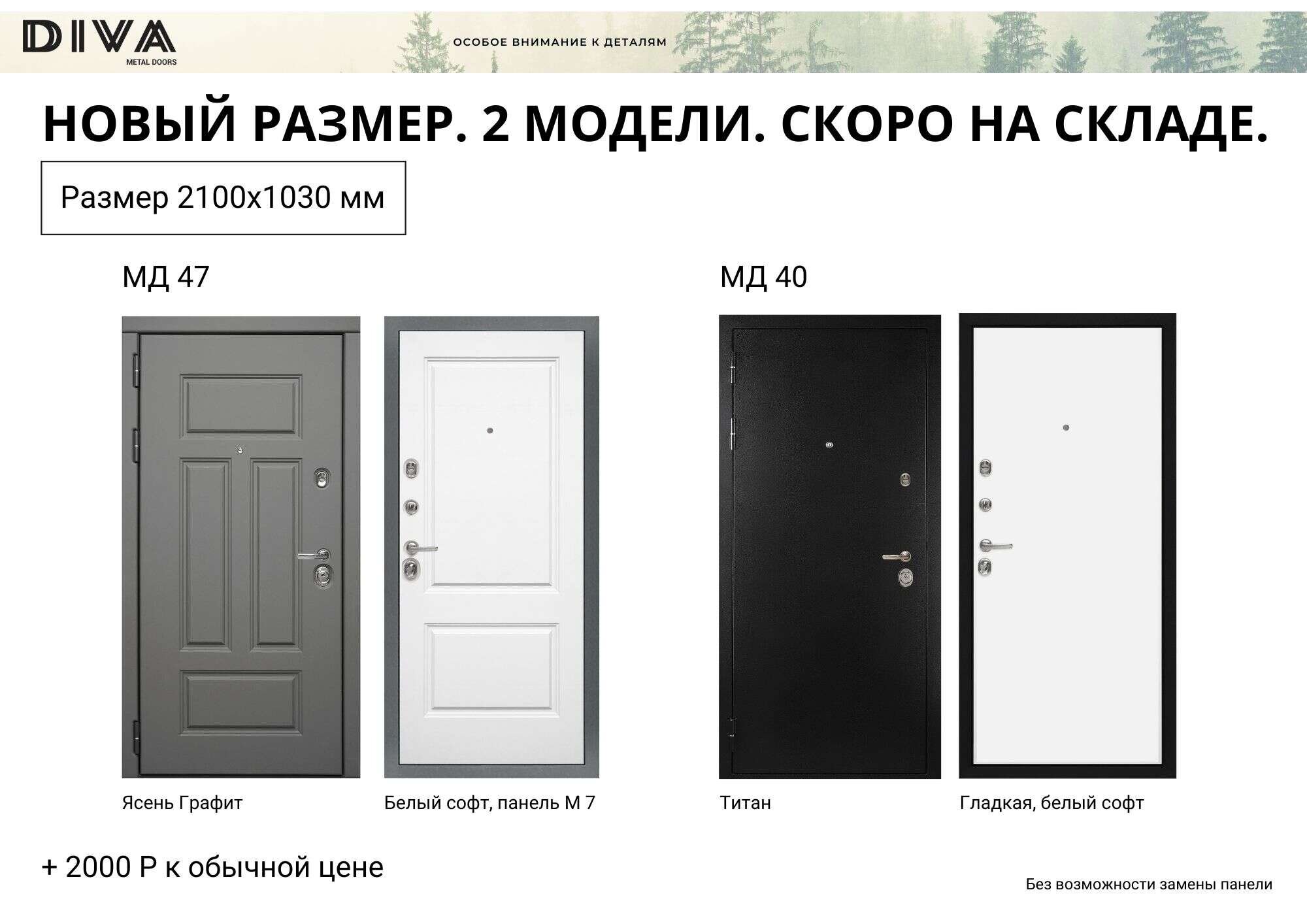 Металлические двери Дива размер 1030x2100 для нестандартных проёмов